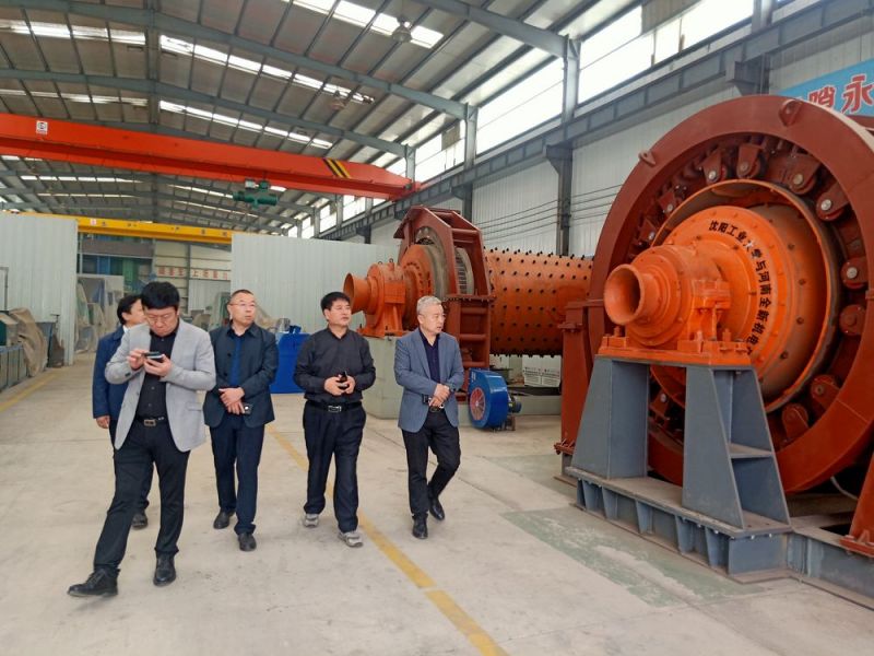 市領導來公司考察高（gāo）低壓電機和永磁直驅球磨機